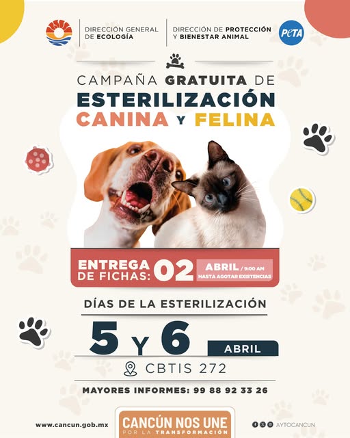 uploads/6/32/Cartel (18).jpg